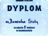 dyplom Siuta D